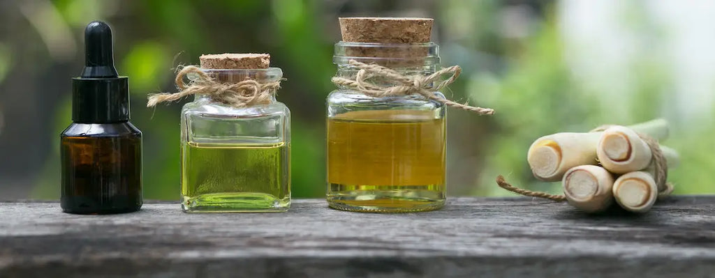 How to Make Natural Mosquito Repellent